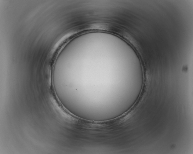 X0000113621123200910091524