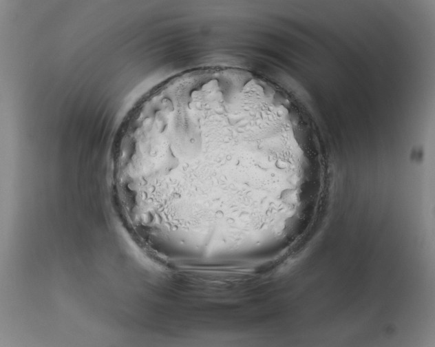 X0000113621125200910091524