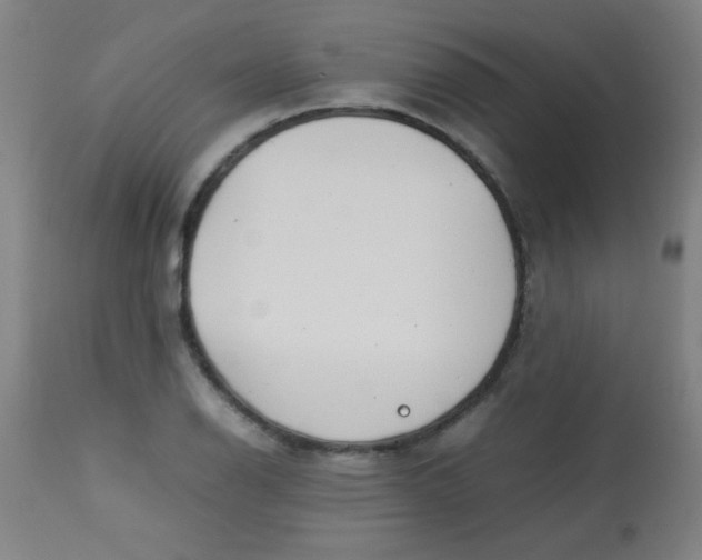 X0000113621126200910091524