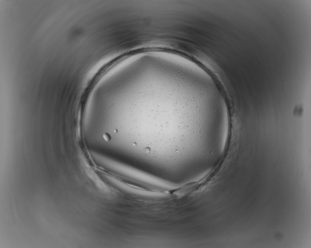 X0000113621127200910091524