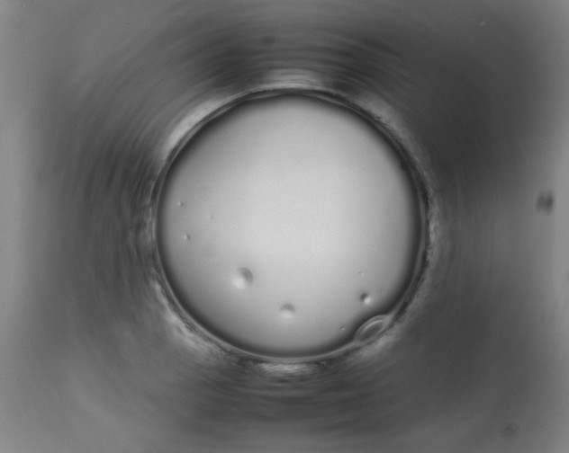 X0000113621129200910091525