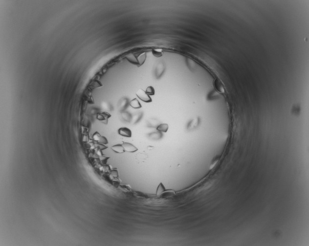 X0000113621131200910091525