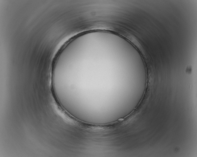 X0000113621132200910091525