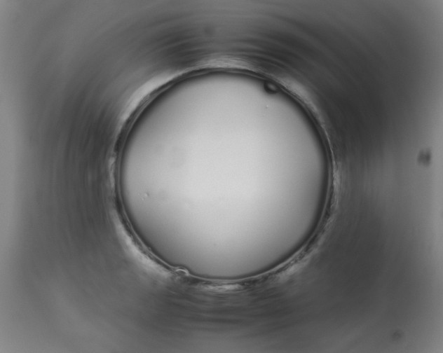 X0000113621133200910091525