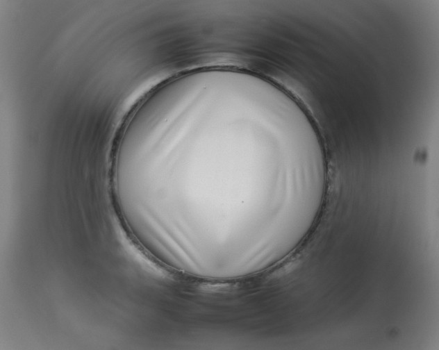 X0000113621135200910091525