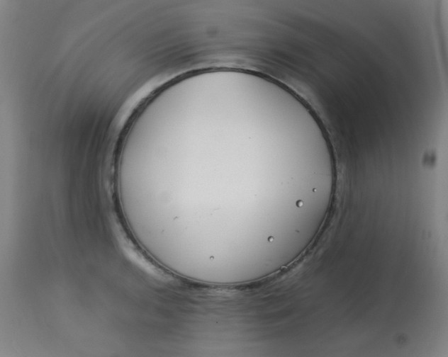 X0000113621136200910091525