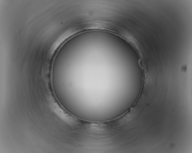 X0000113621138200910091525