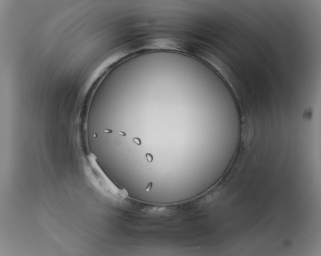 X0000113621139200910091525