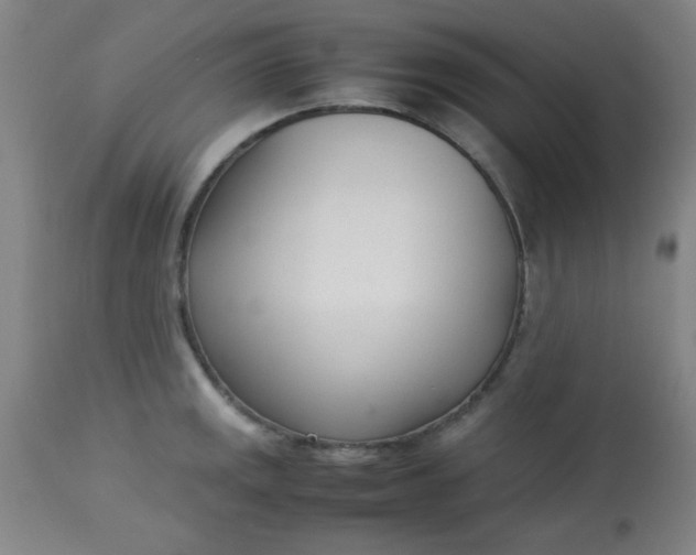 X0000113621141200910091525