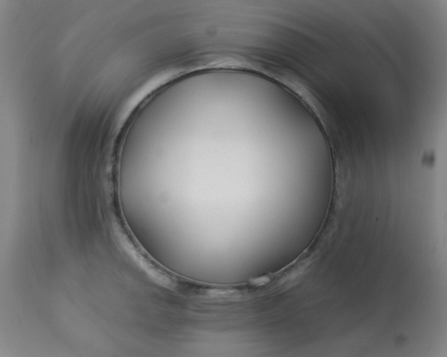 X0000113621142200910091525