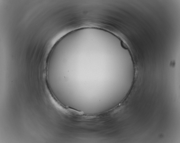 X0000113621143200910091525