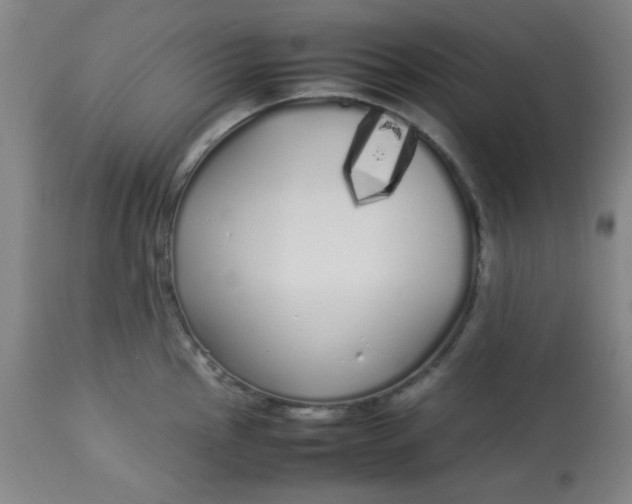 X0000113621145200910091525