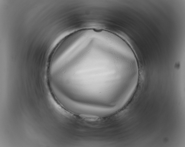 X0000113621147200910091525