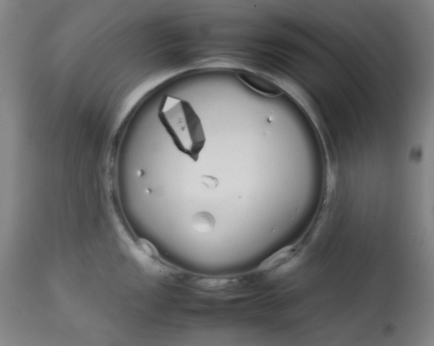 X0000113621149200910091525