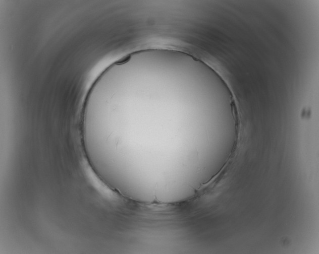 X0000113621152200910091525