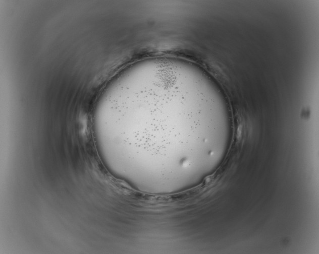 X0000113621156200910091524