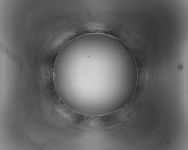 X0000113621157200910091524