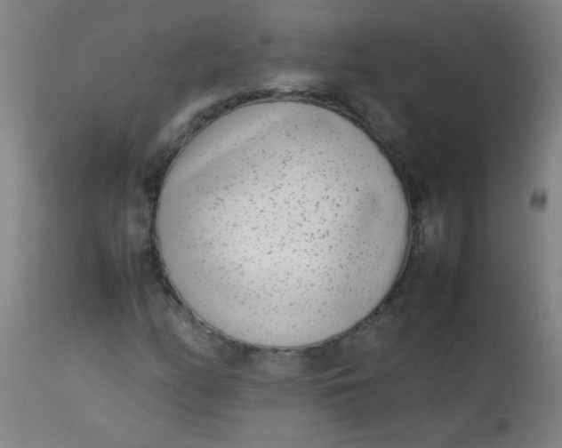 X0000113621158200910091524