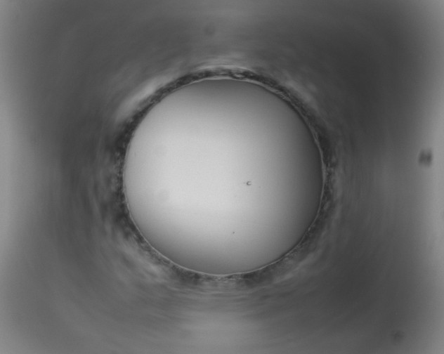 X0000113621159200910091524