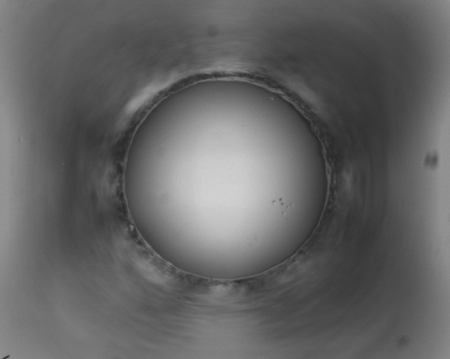 X0000113621160200910091524