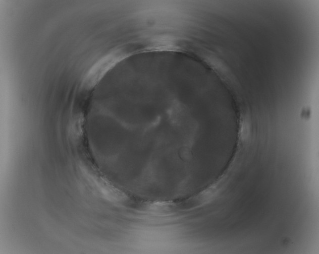 X0000113621161200910091524