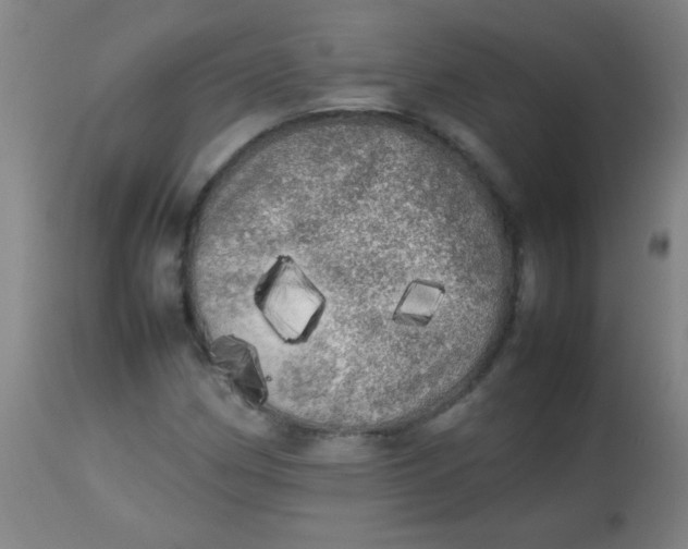 X0000113621162200910091524