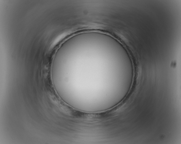 X0000113621163200910091524