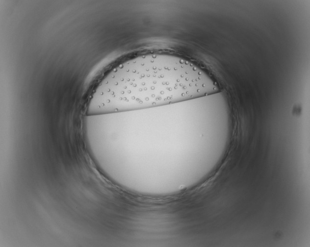 X0000113621164200910091524