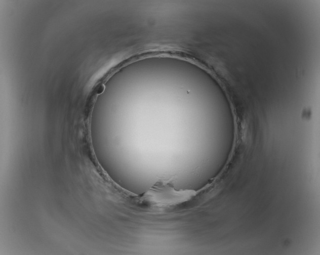 X0000113621165200910091524