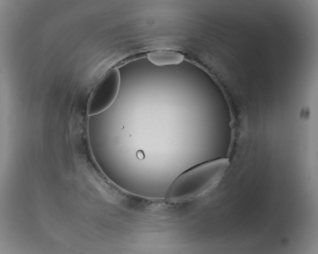 X0000113621169200910091524