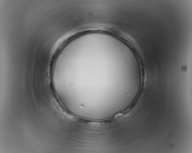 X0000113621172200910091524