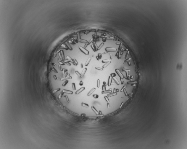 X0000113621174200910091524