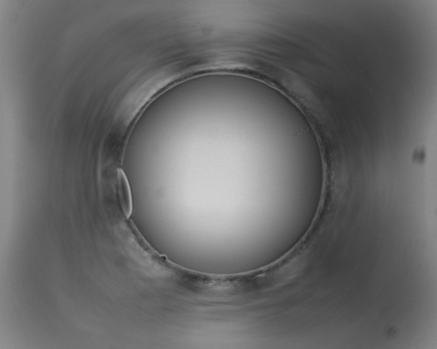 X0000113621177200910091524