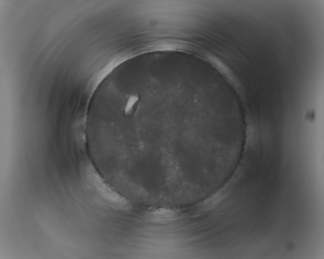 X0000113621178200910091524