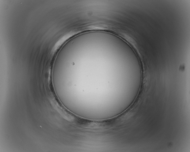 X0000113621179200910091524