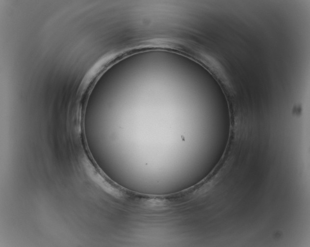 X0000113621180200910091524