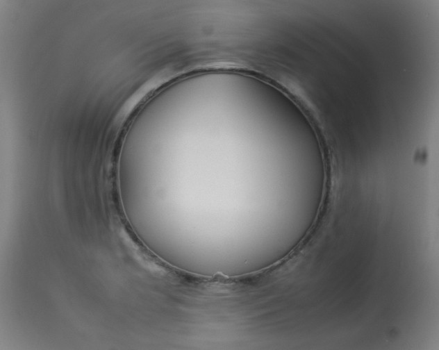 X0000113621181200910091524