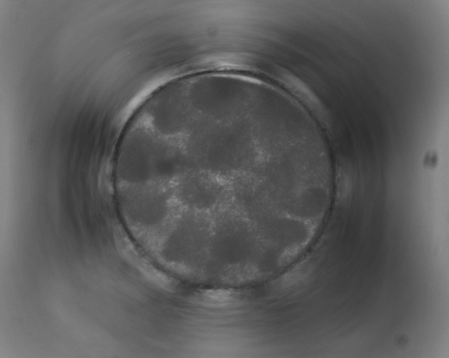 X0000113621182200910091524