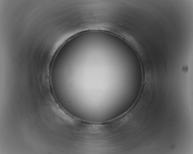 X0000113621184200910091524