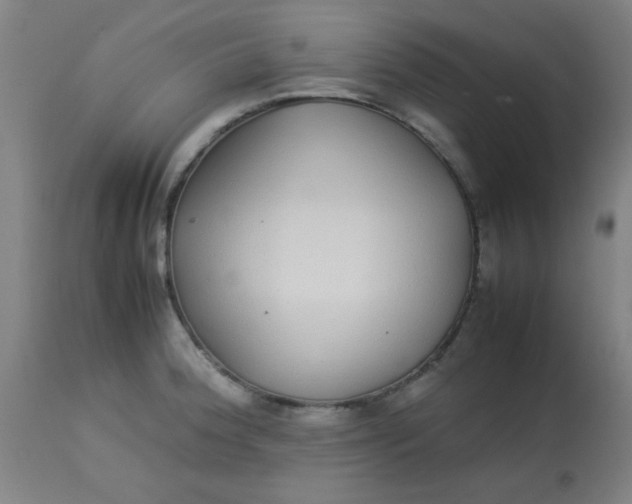 X0000113621188200910091524