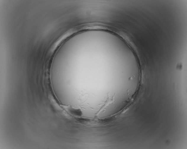 X0000113621189200910091523