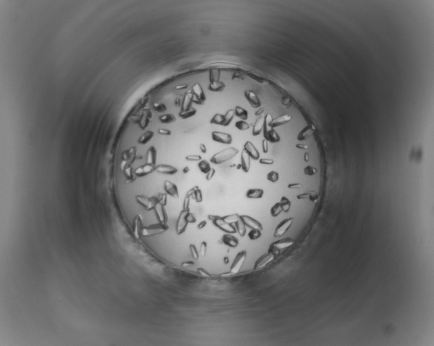 X0000113621190200910091523