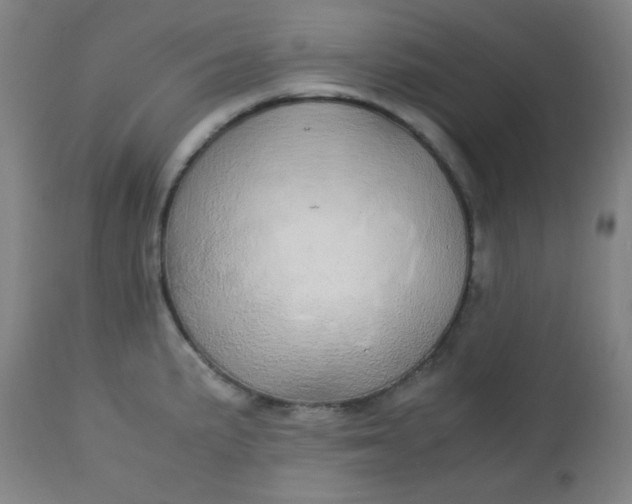 X0000113621191200910091523