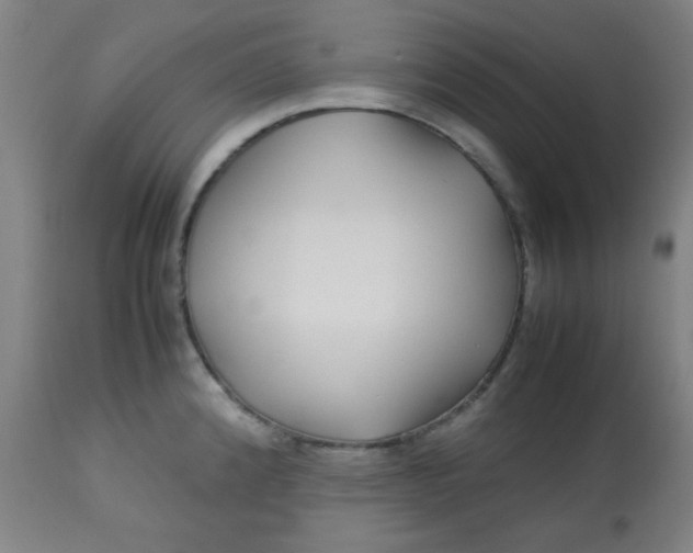 X0000113621192200910091523