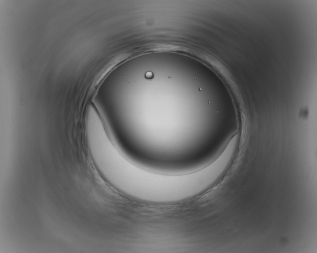 X0000113621193200910091523