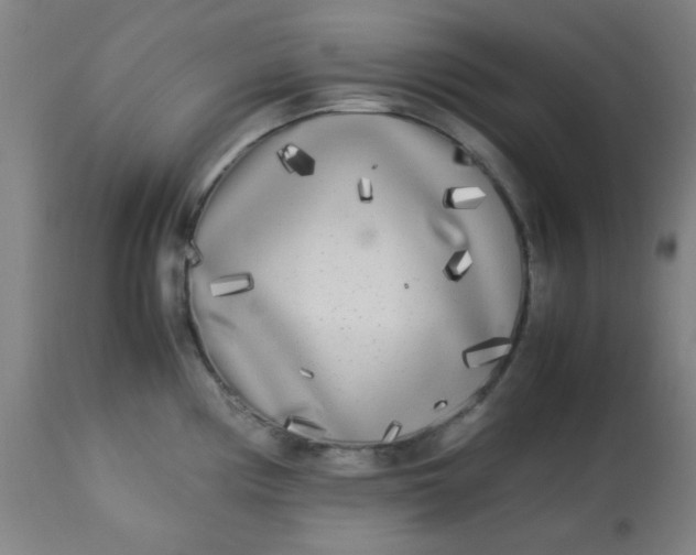 X0000113621194200910091523