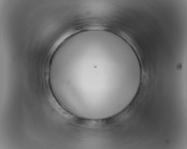 X0000113621195200910091523