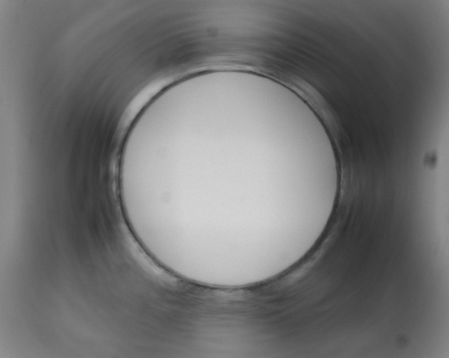 X0000113621196200910091523