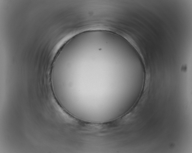 X0000113621197200910091523