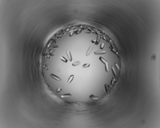 X0000113621198200910091523